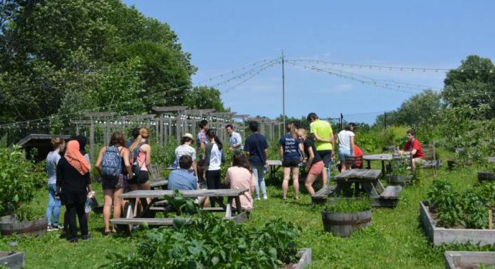 social and economic entrepreneurship