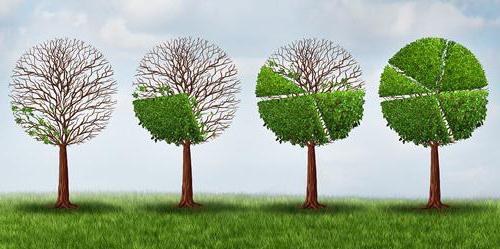 where to take a certificate of confirmation of the main activity