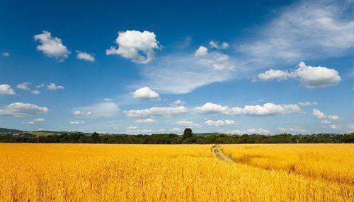 transfer of land from one category to another