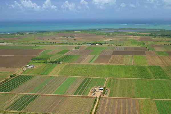 land lease agreement