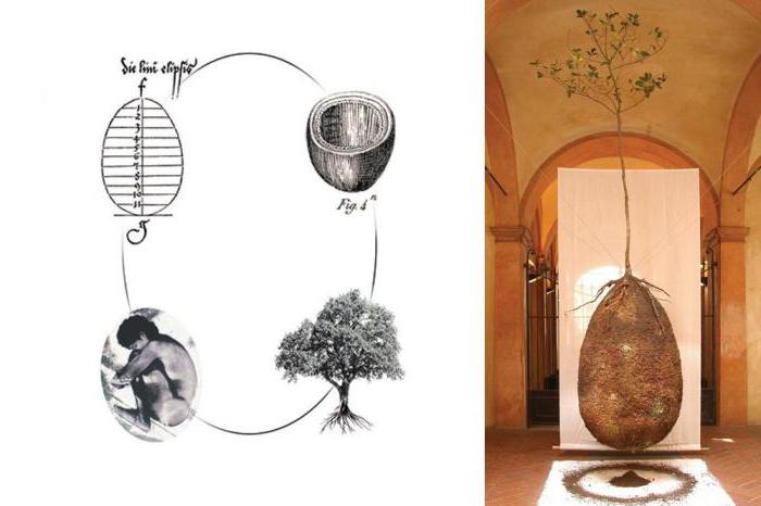 the most expensive coffin in the world price