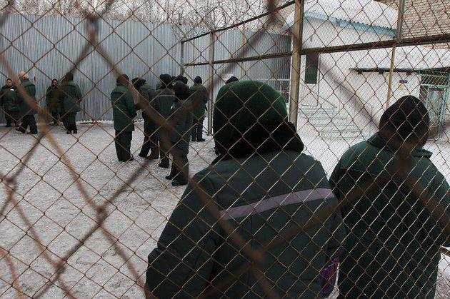 what articles fell under the amnesty