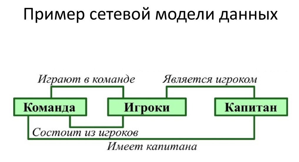 network form of organization