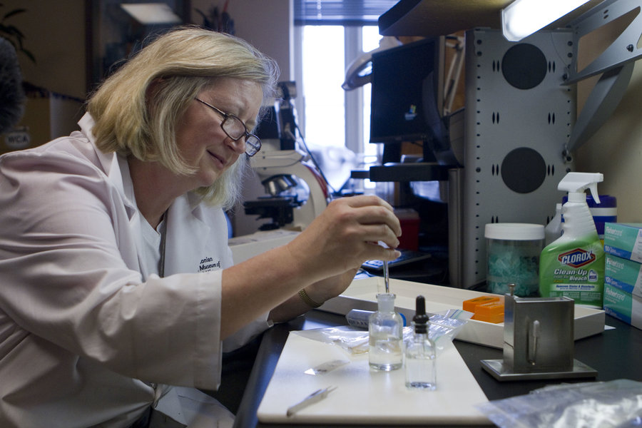 medical examiner profession