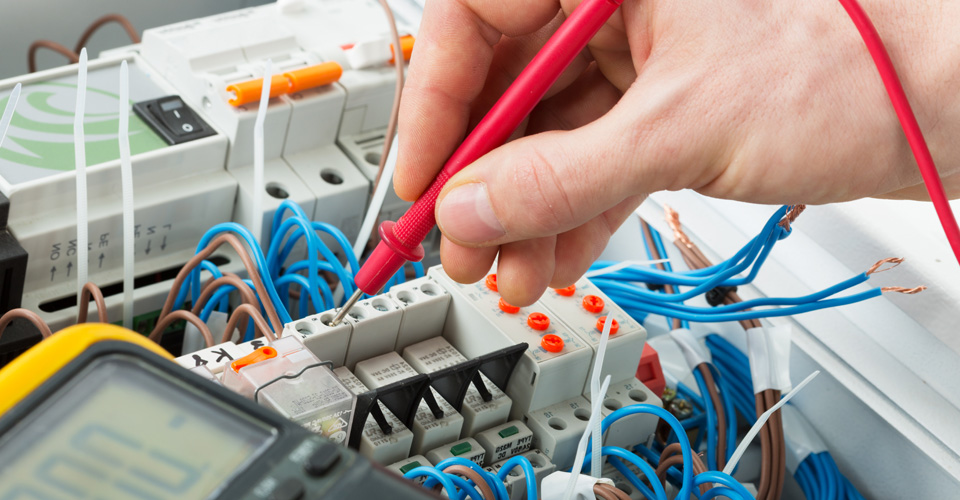 specialist aho job responsibilities