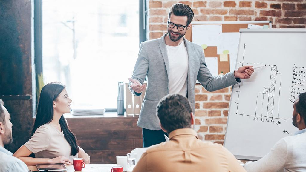 IP Manager as a Director at LLC