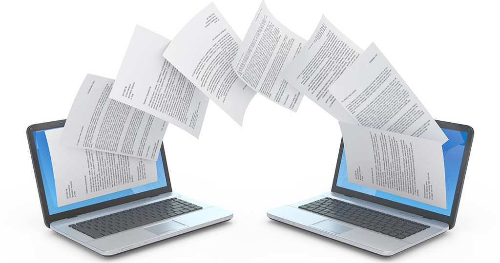 separate division of llc