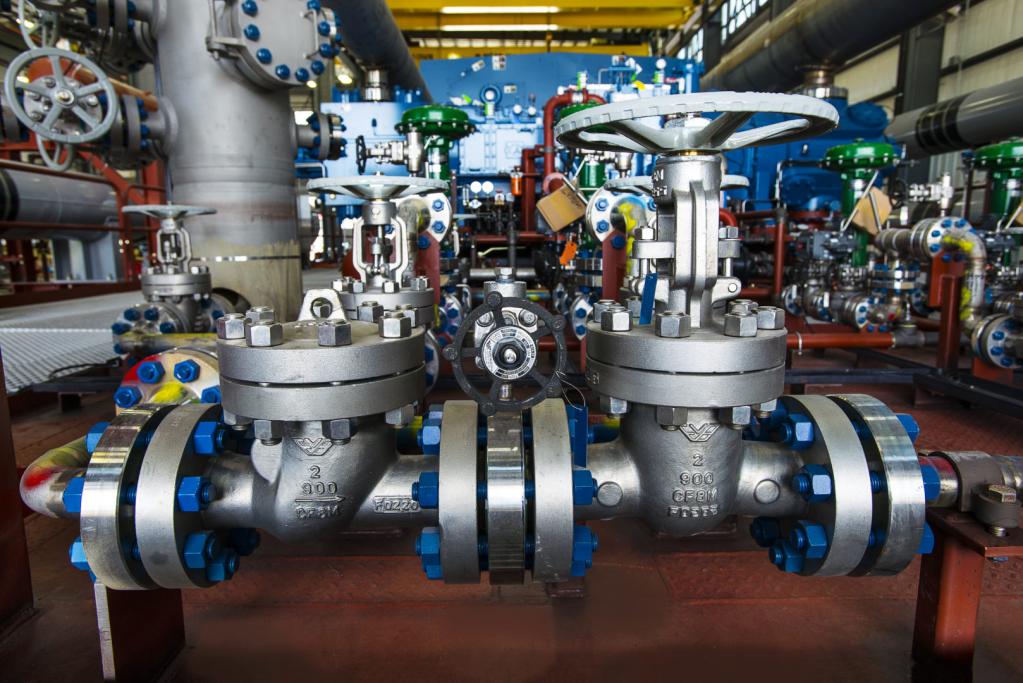 vdgo in receipts appeared in receipts