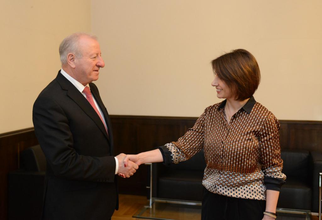 Status of a deputy of the Council of Deputies