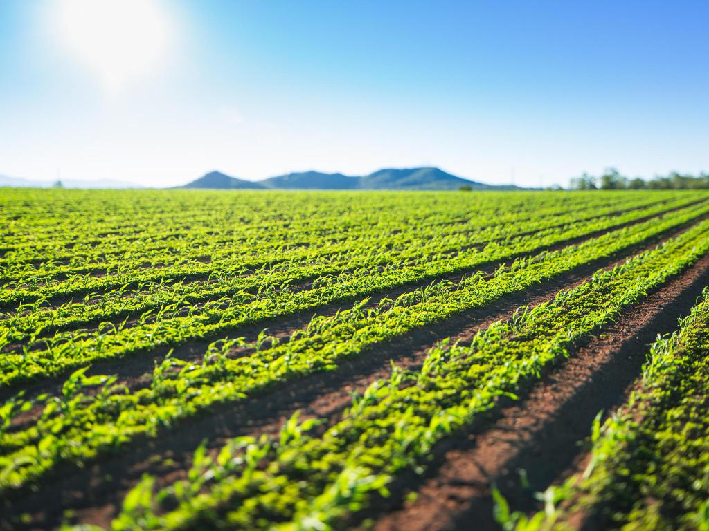 Assignment of land lease rights