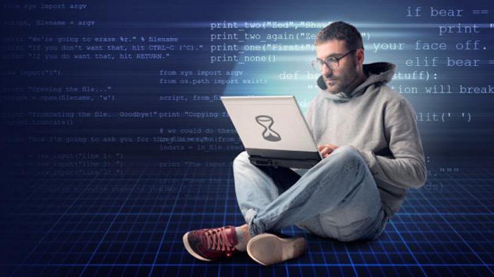 professional programmer