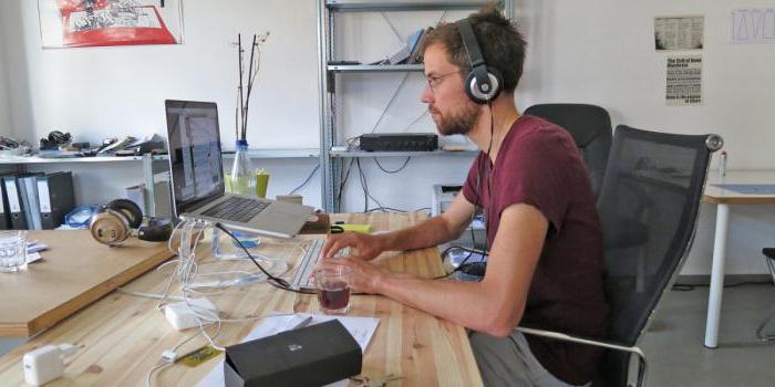 professional standard programmer of a budget institution