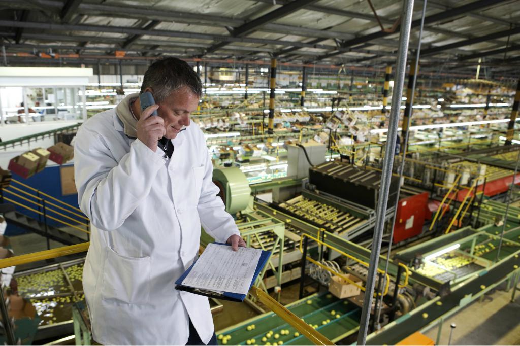 production manager job description