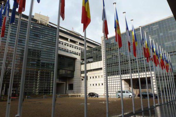 France export volume