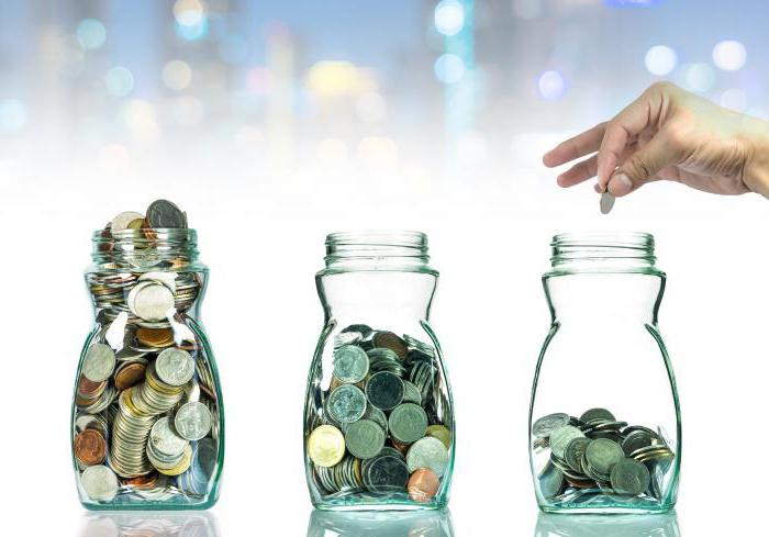 audit of an investment project example