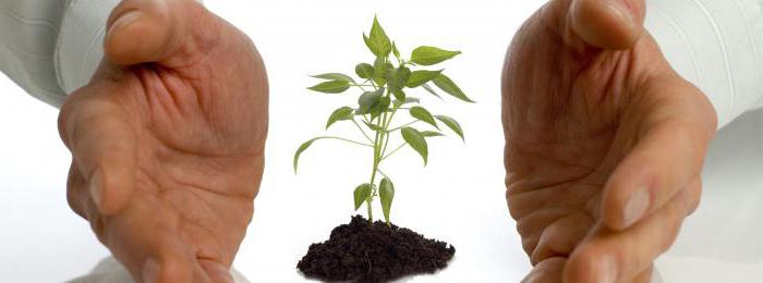 composition and structure of the property of the enterprise