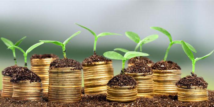 types of collective investment