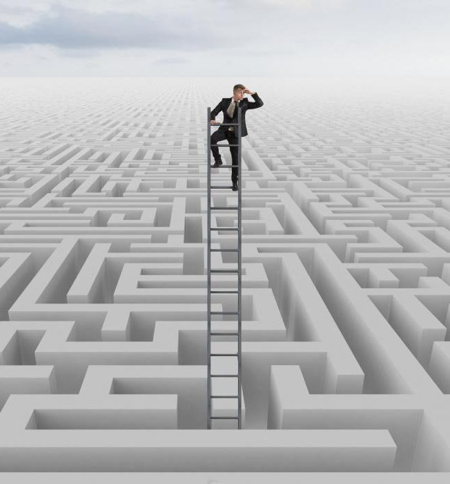 tax audit verification of financial and economic activities