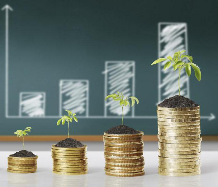 investment analysis investment performance assessment