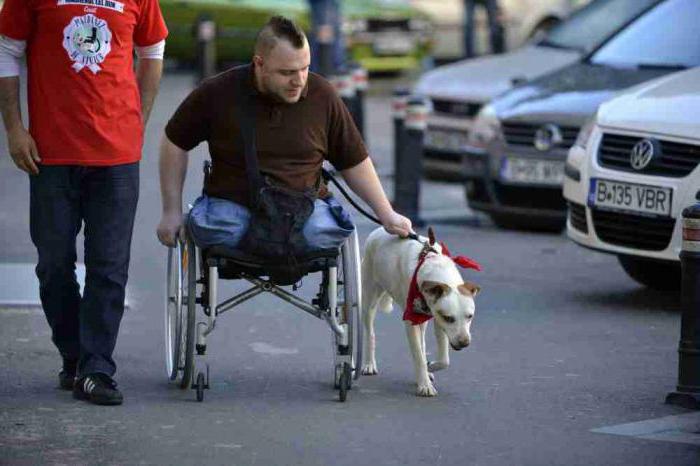 disability pension group 3