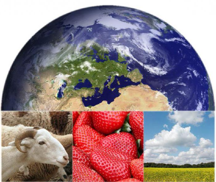 objects of general environmental management