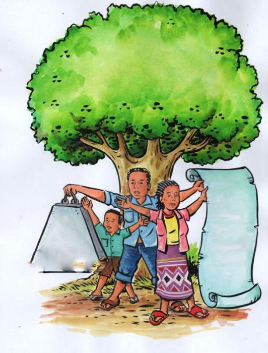 objects of environmental management