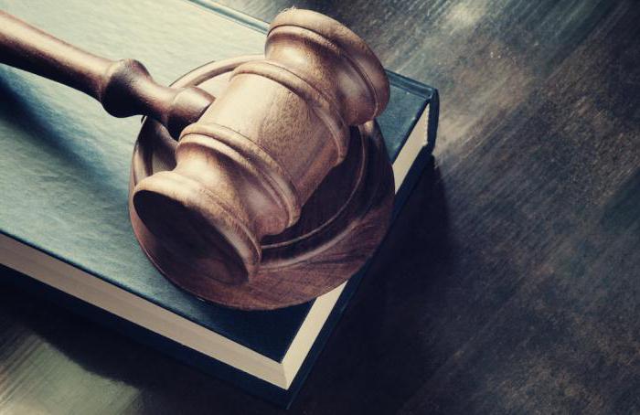 concept of constitutional proceedings