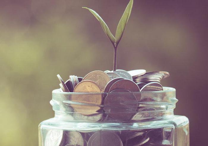 especially valuable movable property of a budgetary institution