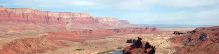 denial of a us visa what to do