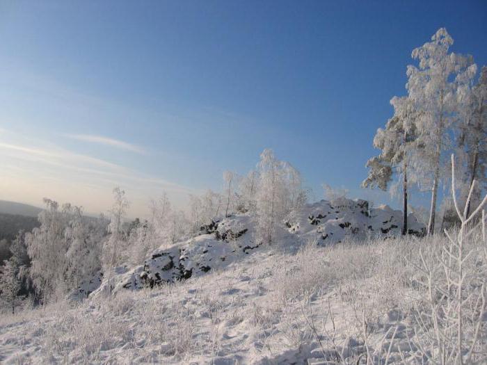 Pervouralsk city population