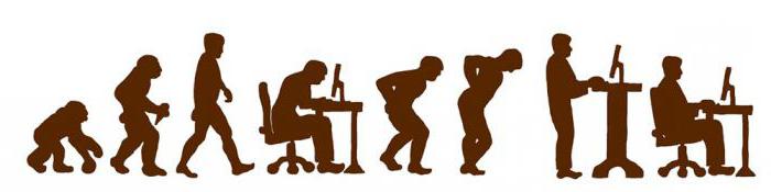 ergonomics workplace requirements