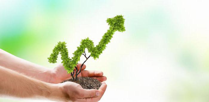  investment appraisal concept