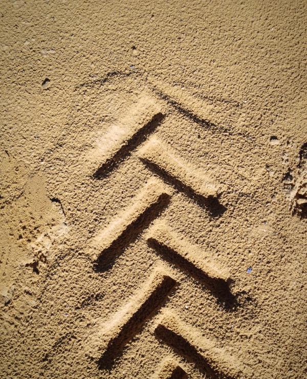 Term of urgent investigative actions