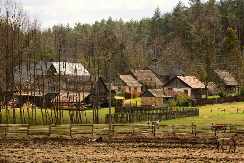 Residential Construction