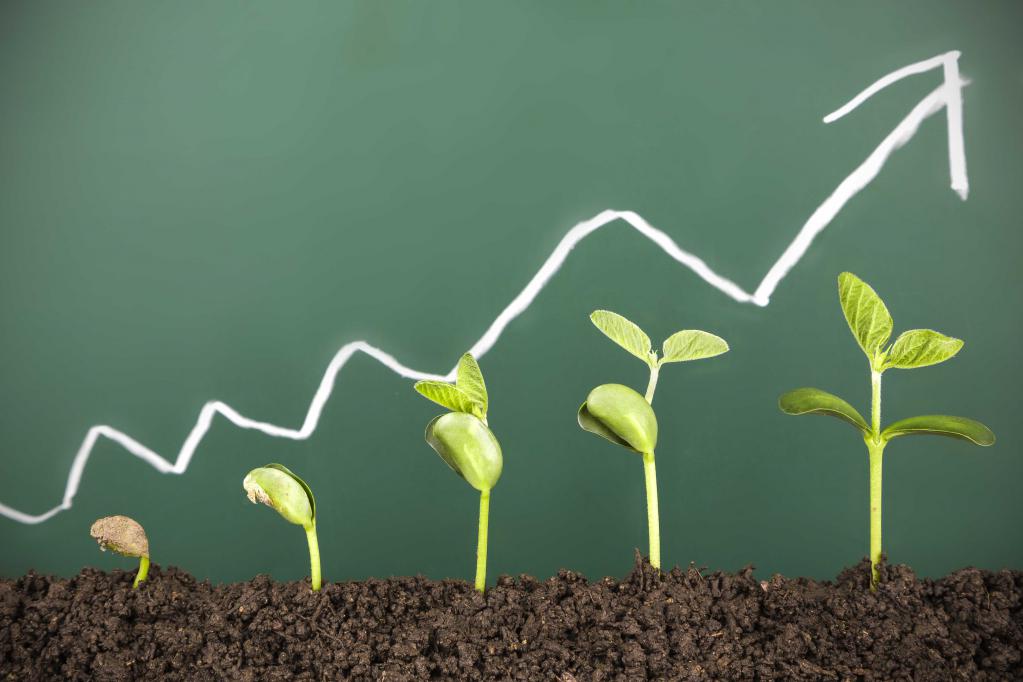 innovative activity of the enterprise