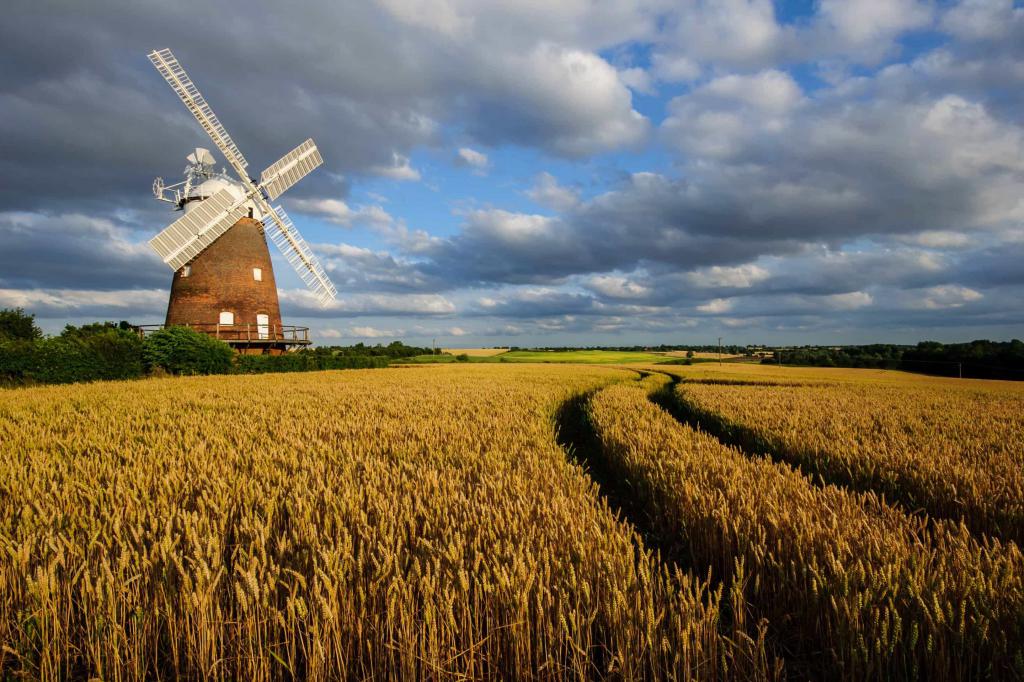 agricultural cooperation of Russia