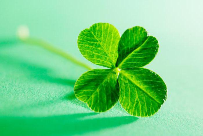 how to attract good luck in business omens