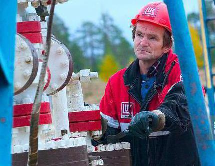 disability and motherhood