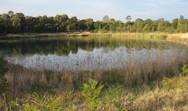 Water and hunting grounds