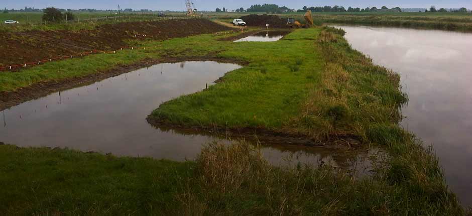 environmental impact assessment and ovos