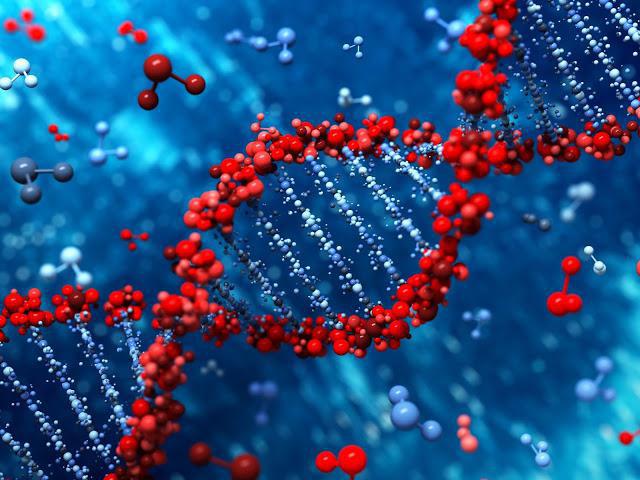 evidence for the genetic role of dna