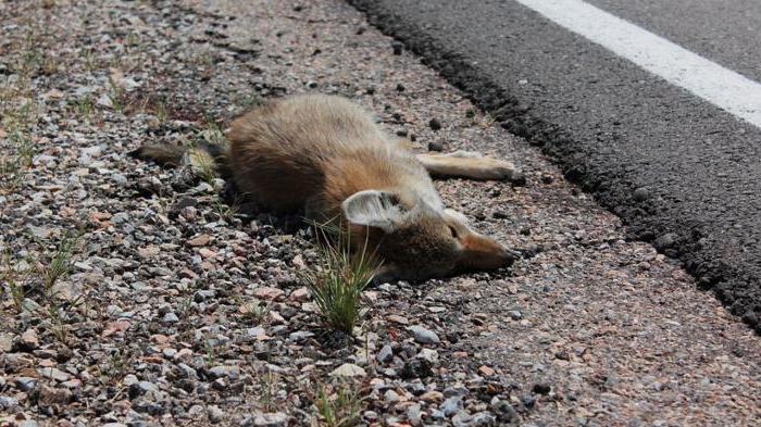  biological waste disposal