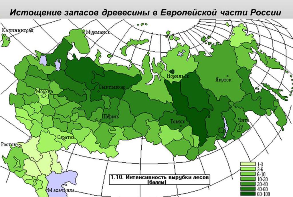 massive deforestation
