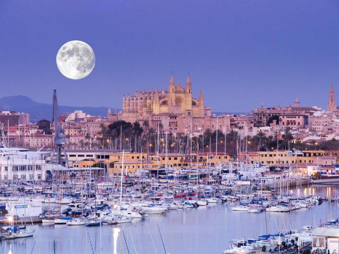 official language of spain