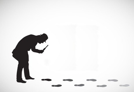 organization of work of the investigator