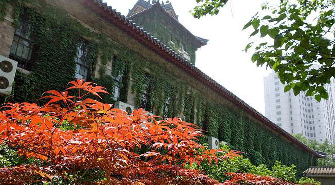 Higher education in China followed by employment