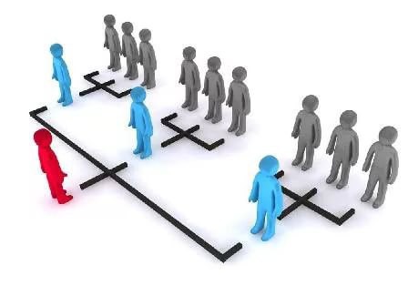 management structure of a construction company