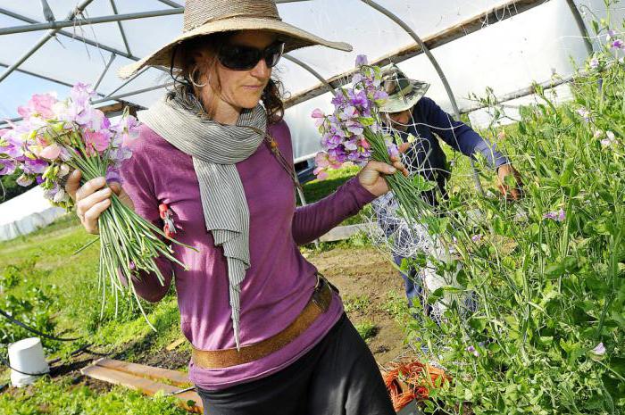 how to become a successful entrepreneur