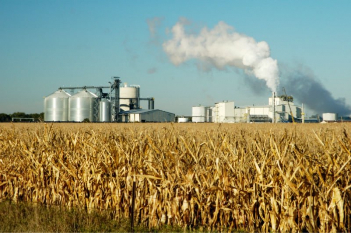 license for the production of vodka