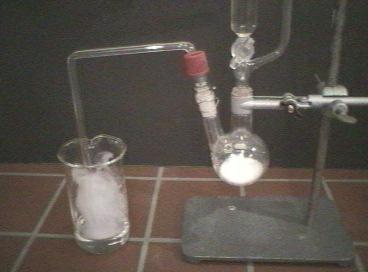 ammonia production process